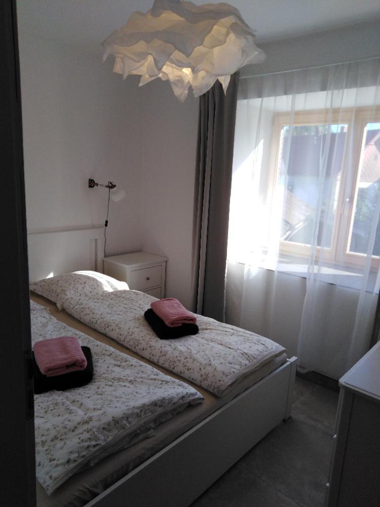 Apartment Apartmany Vojnuv Mestec